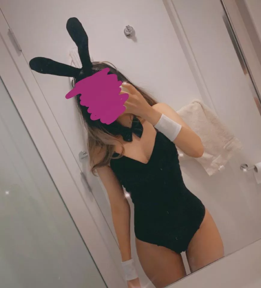 Slutty Bunny 🐰