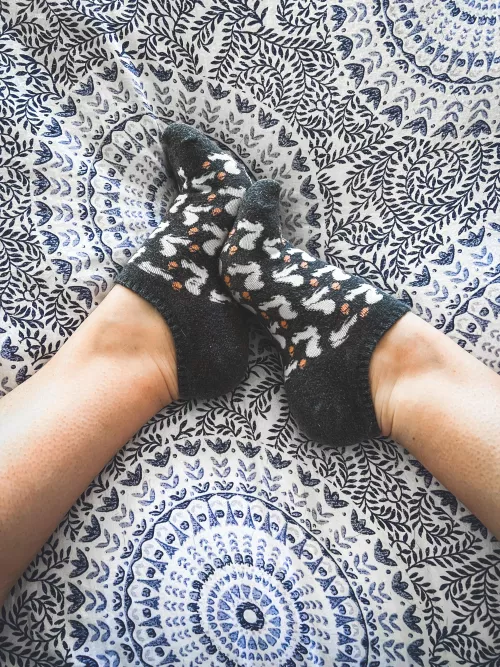 Back at it with #funsockfriday … Squirrels are my absolute favorite animals (after my pups, of course)! What’s your fave?