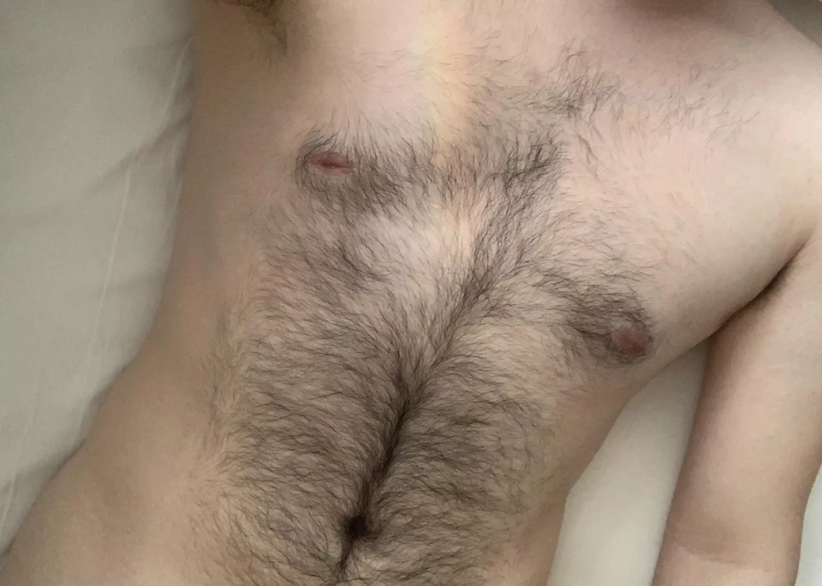 Birthday boy 🌈 More furry days to come (20)