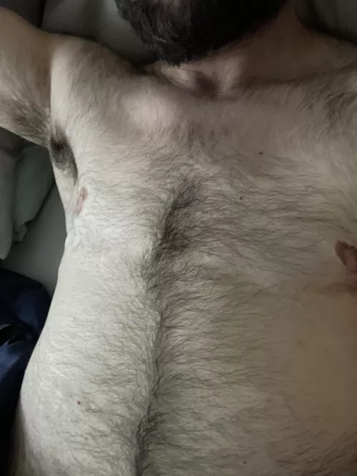 Could do with a furry chest buddy right now ๐