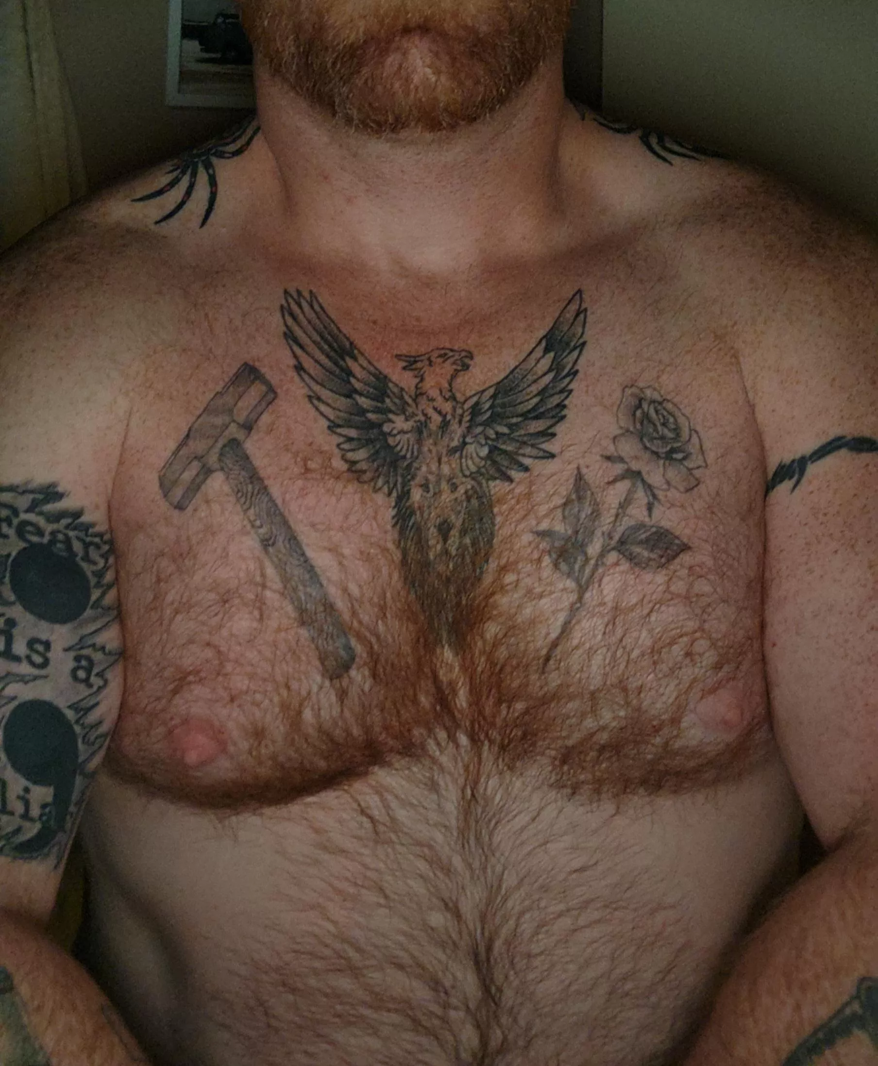 Ginger chest hair Ginger chest hair