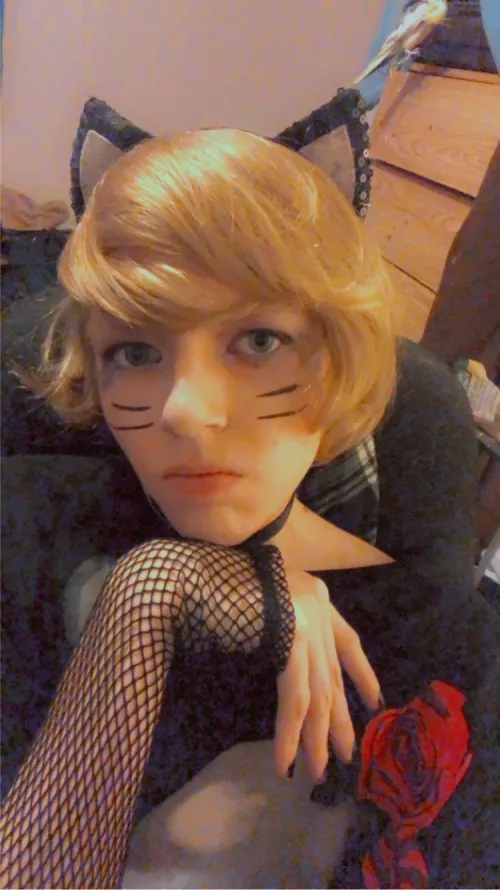 Happy Femboy Friday! Here’s me as a catboi :3