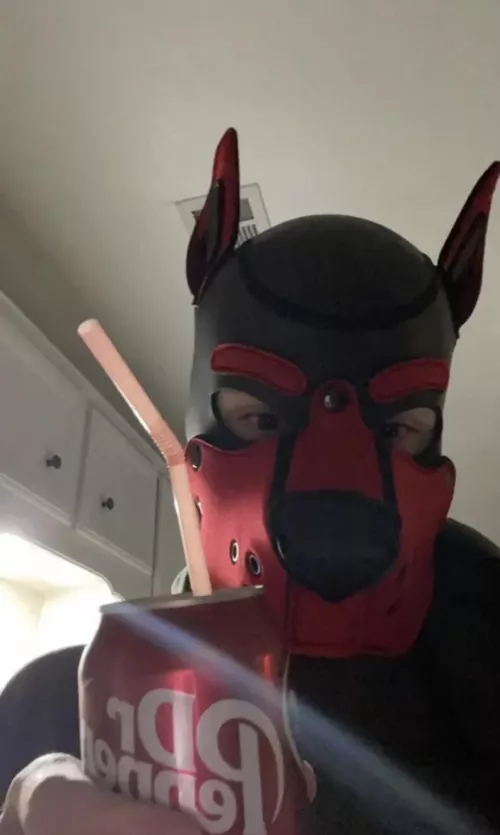 I’d rather be sucking on you😉🐾🦑