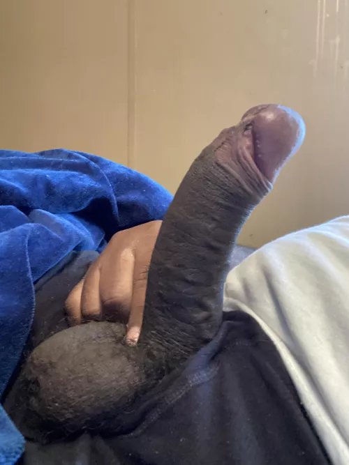 Hopefully this is easy on the eyes lol