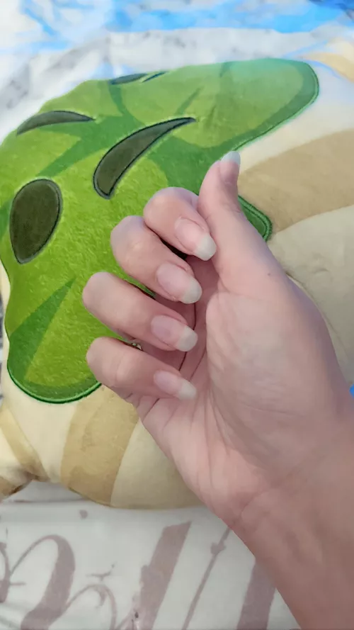 I think it’s time for a manicure. What colour should I do?