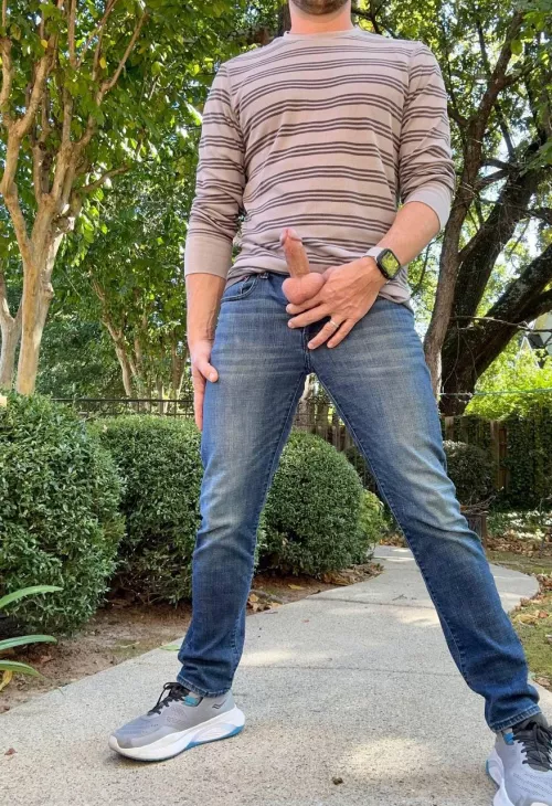 Frisky in the front yard