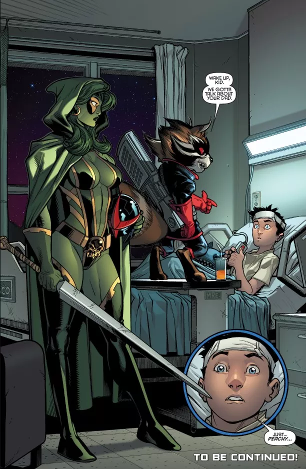 Gamora and Rocket Meeting With Sam [Nova (2013) #1]