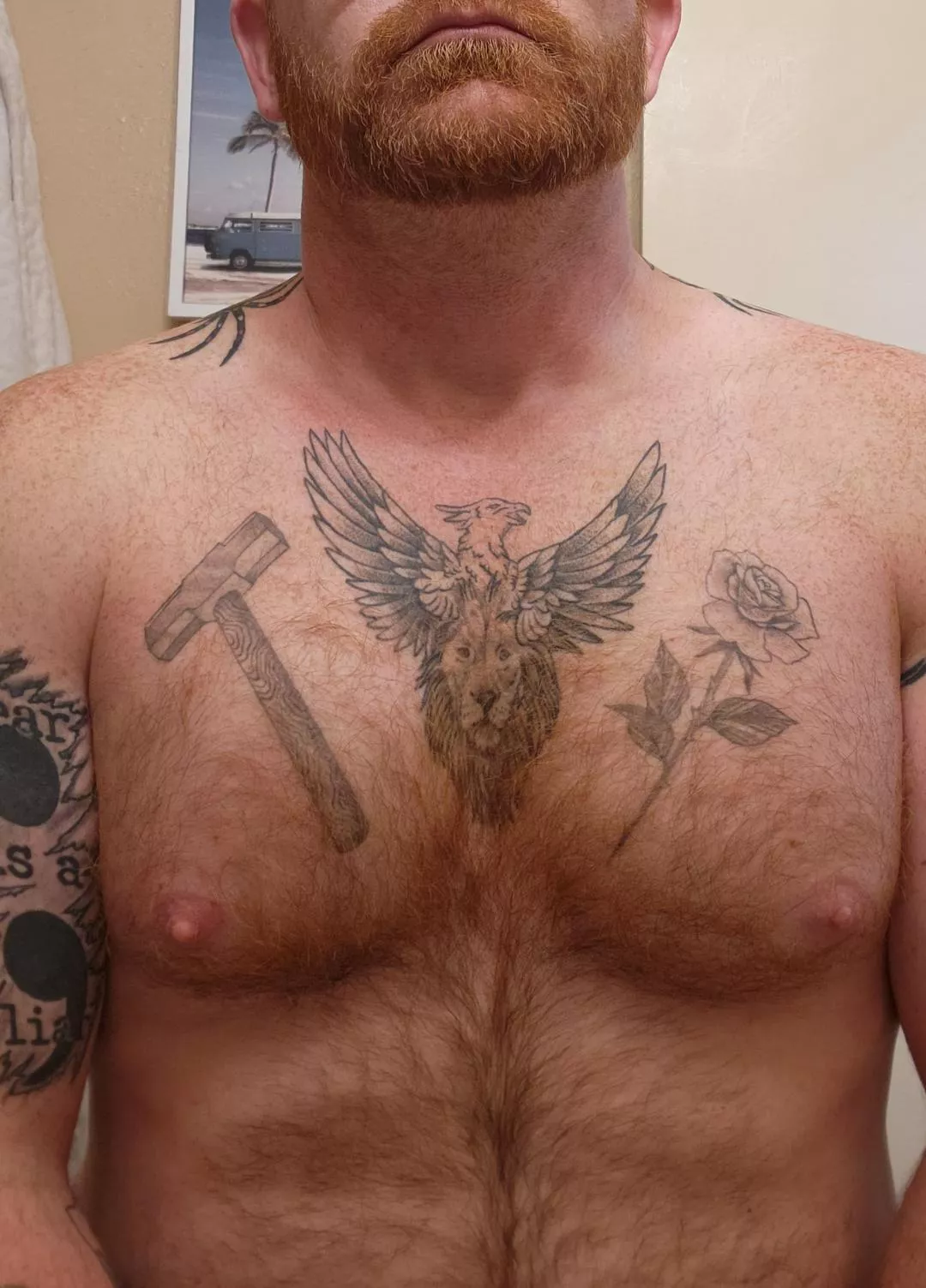 Ginger chest hair. Ginger chest hair.