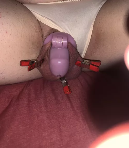 locktober program update, Ashley forgot to shave before her daily verifications, I'm sure she will not be so forgetting next time,what do u think