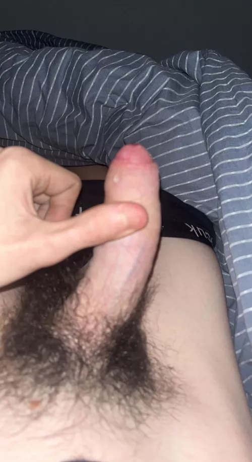 Opinion on pubes?