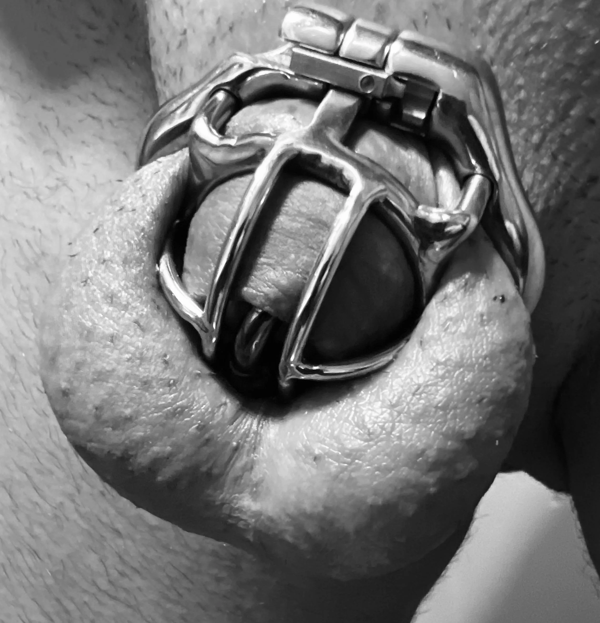 The wife wanted me locked. I’m not sure for how long. She didn’t say.