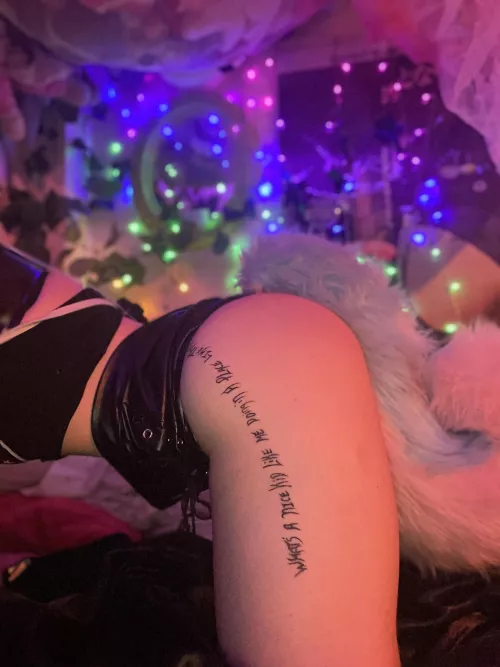 Would you give me booty pats ? 🐶🥺