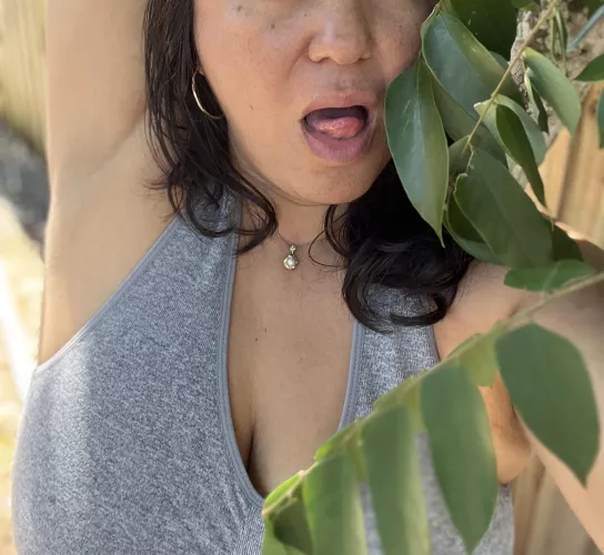 Would you like a taste while I garden? Link in comments