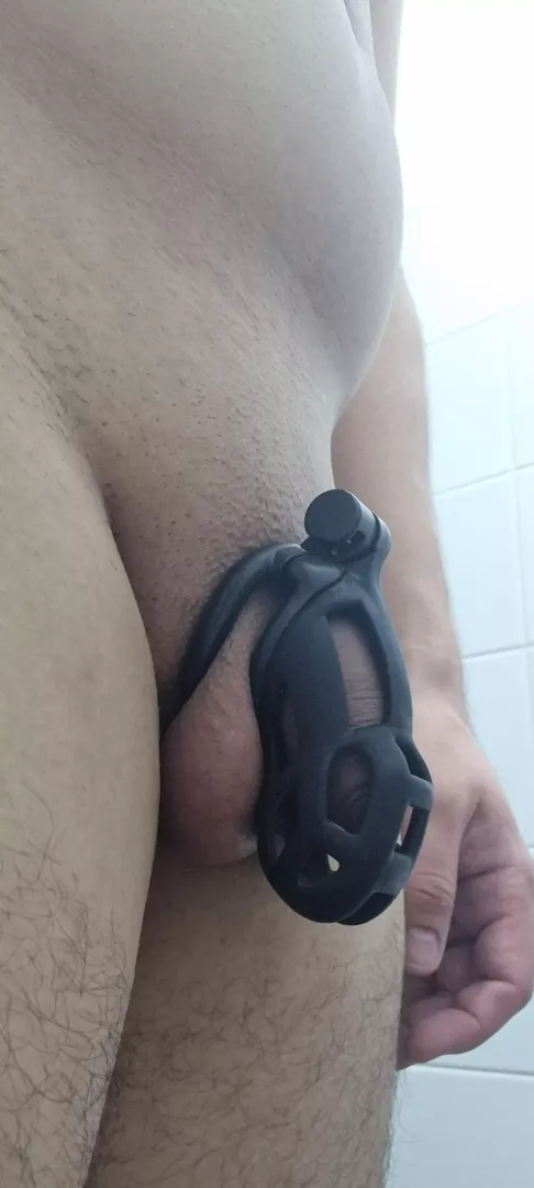 how do i know if its time to downgrade the cage size