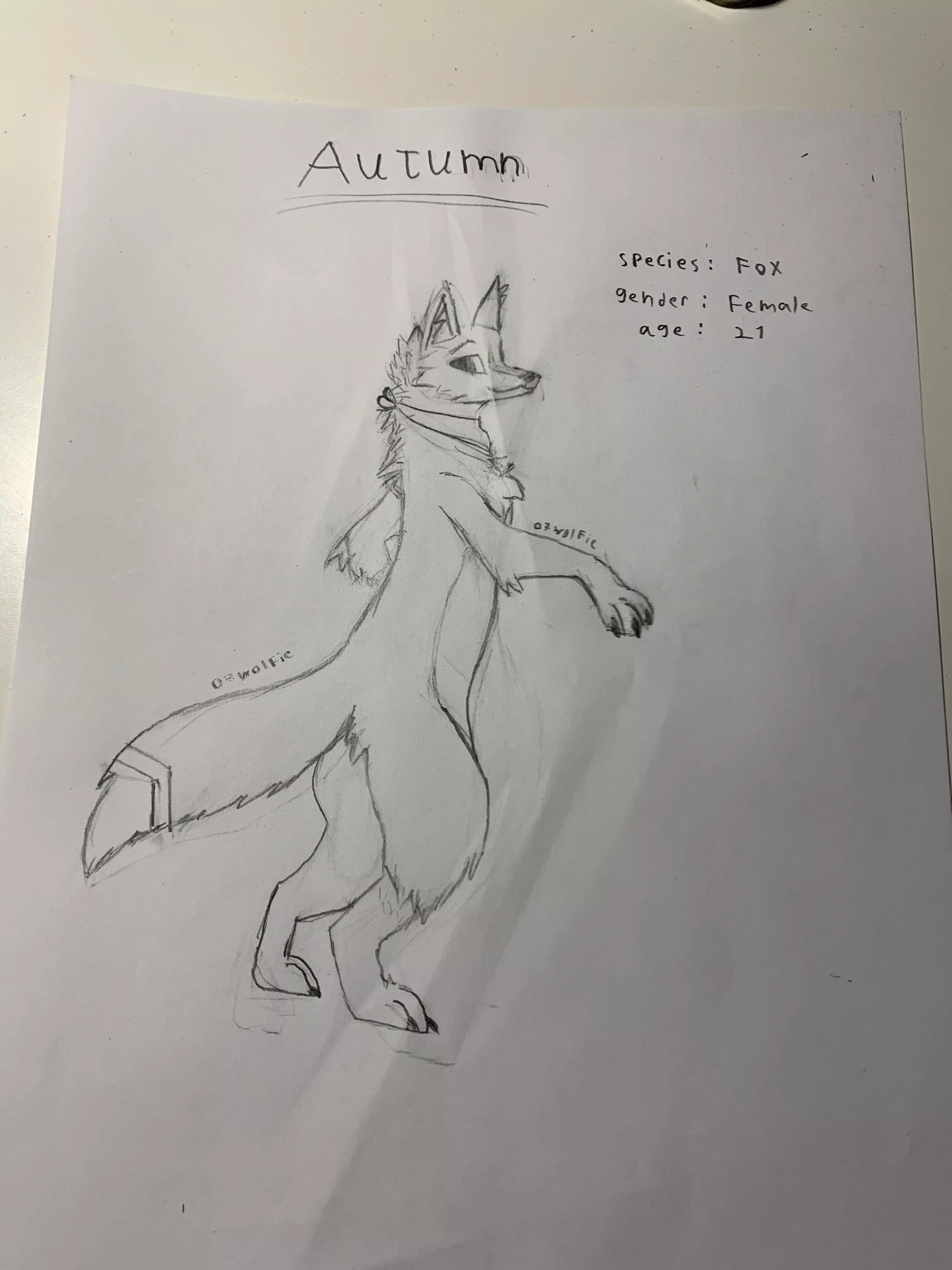 I made new fursona yesterday and I’m really proud of it :3 (by me)