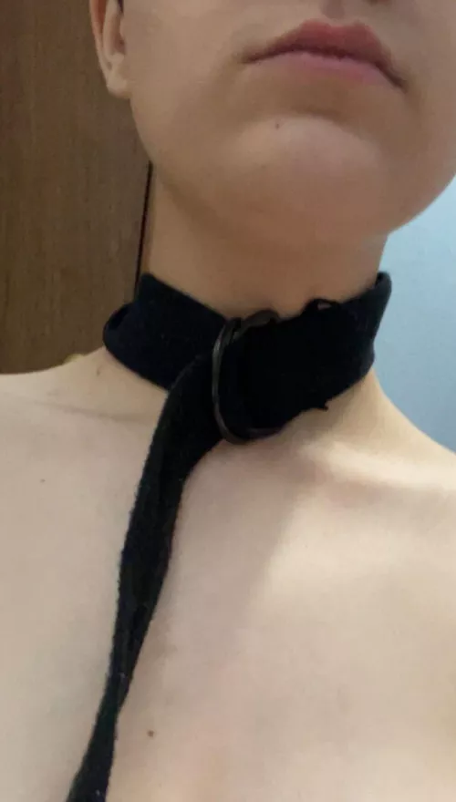 I’m an amateur, 18 year old puppy (or kitty) who is looking for an owner. I’d love some advise on how to be a good pet <3