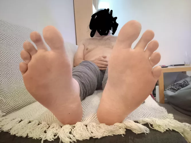 soles (39 UK)