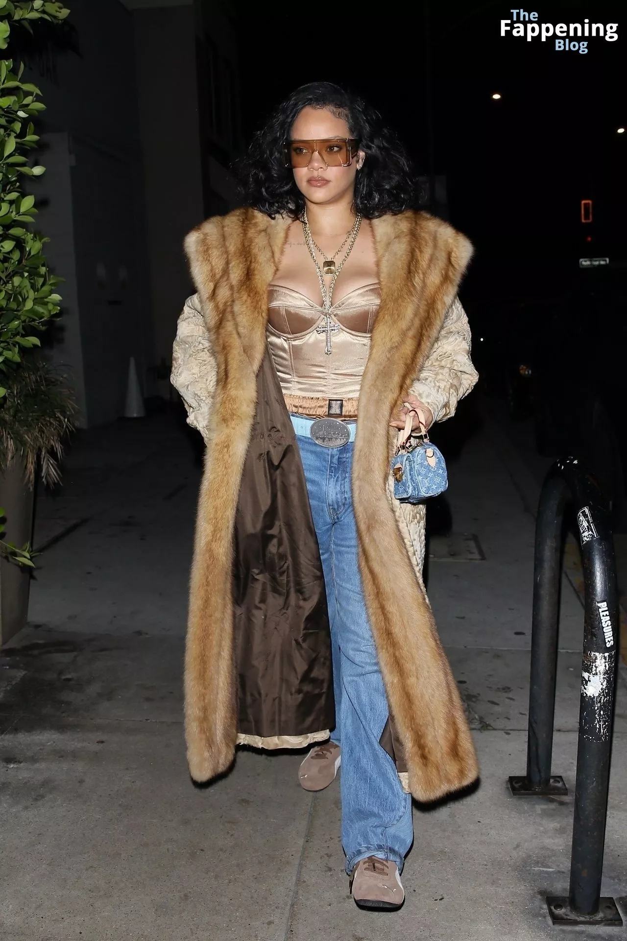 Rihanna Turns Heads in Luxe Fur and Satin Corset for Dinner in Santa Monica (58 Photos)