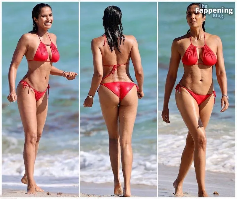 Padma Lakshmi Sexy (1 Collage Photo)