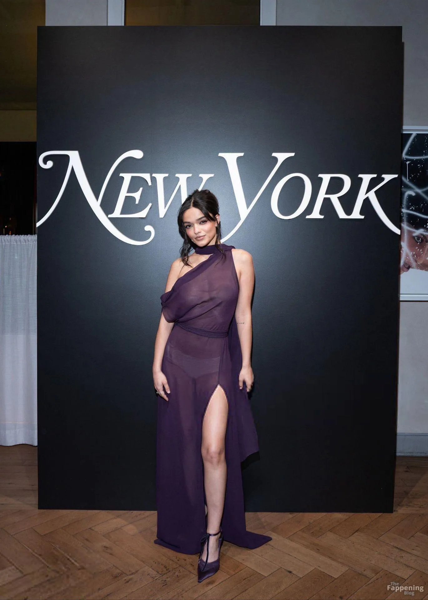Rachel Zegler Stuns at the NYMag Culturati Party (14 Photos)
