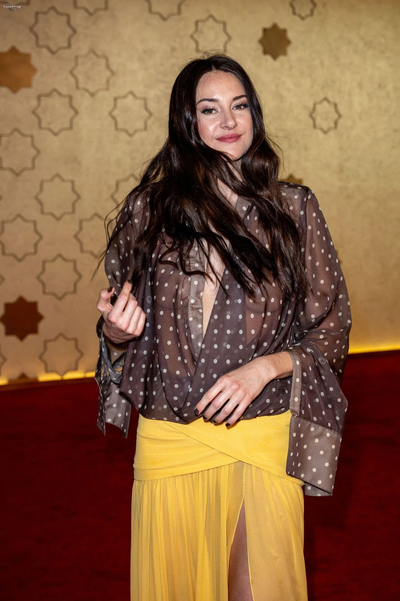 Shailene Woodley Looks Hot in a See-Through Blouse at the Red Sea International Film Festival (5 Photos)