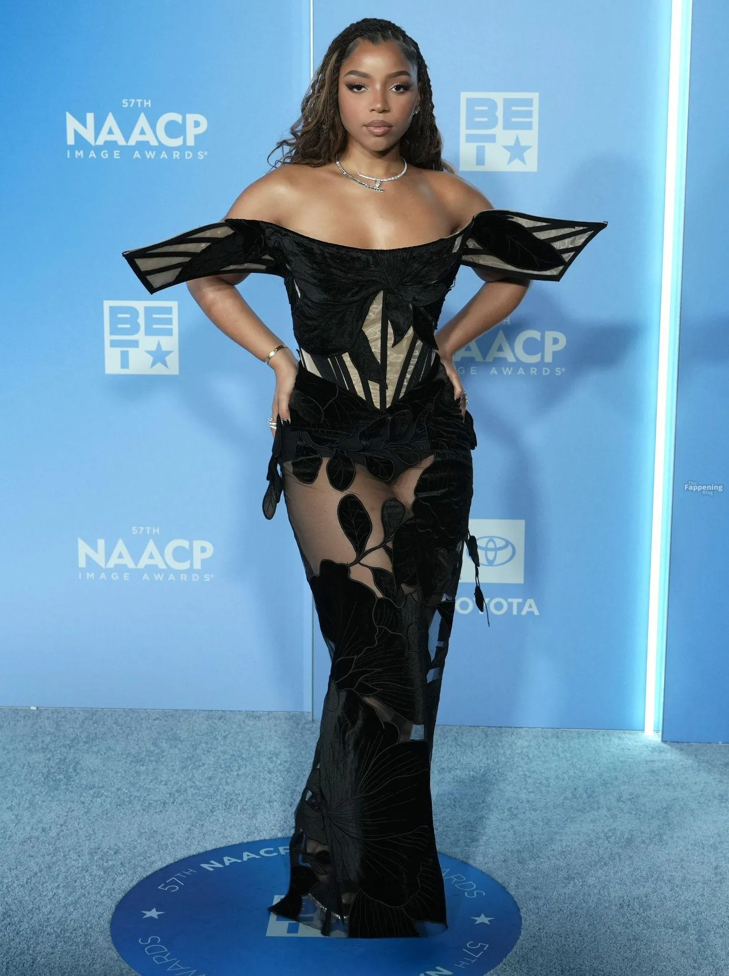 Chloe Bailey Shows Off Her Sexy Figure in a See-Through Dress at the 57th NAACP Image Awards (49 Photos)