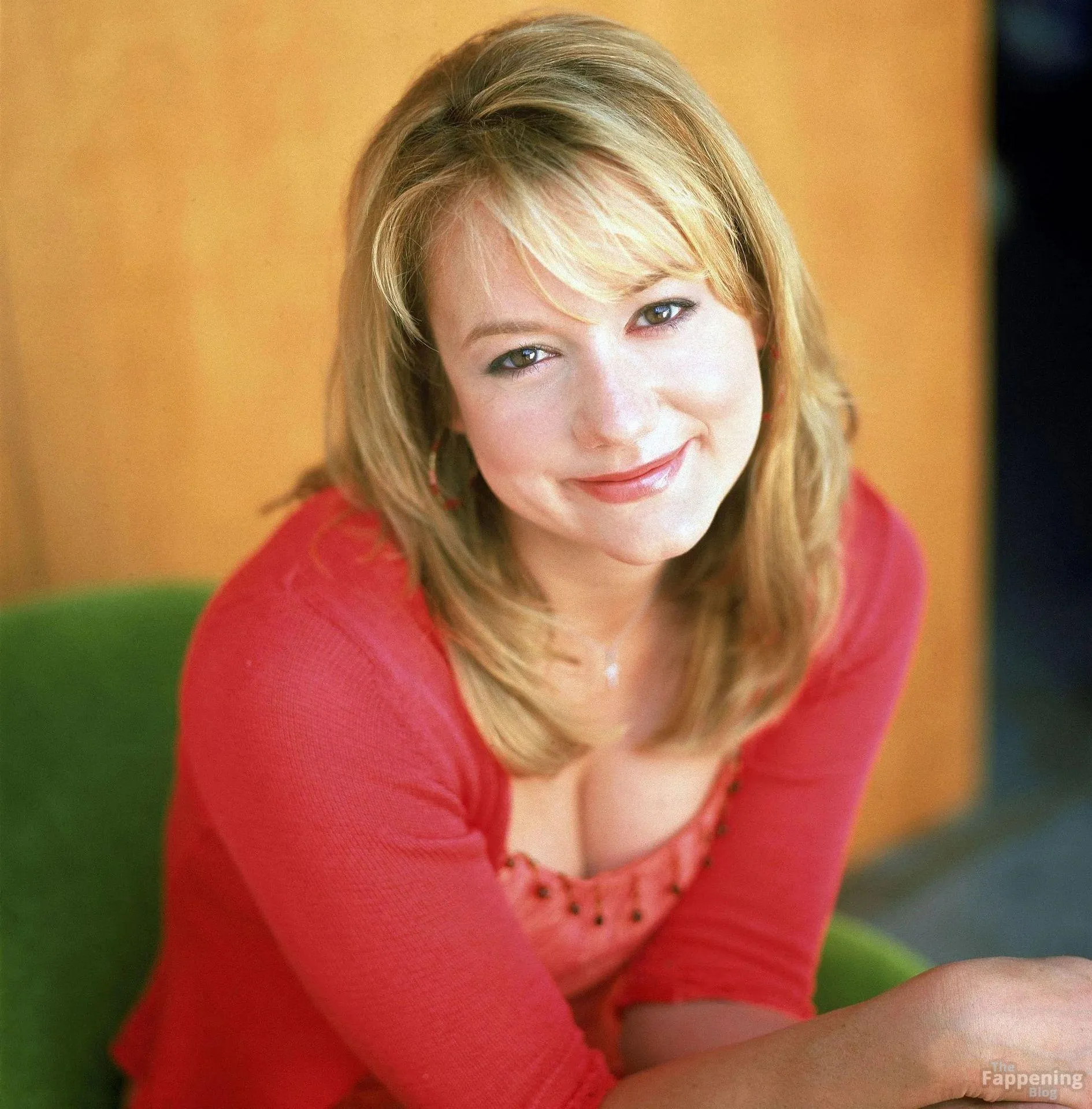Megyn Price Sexy Collection (19 Photos)