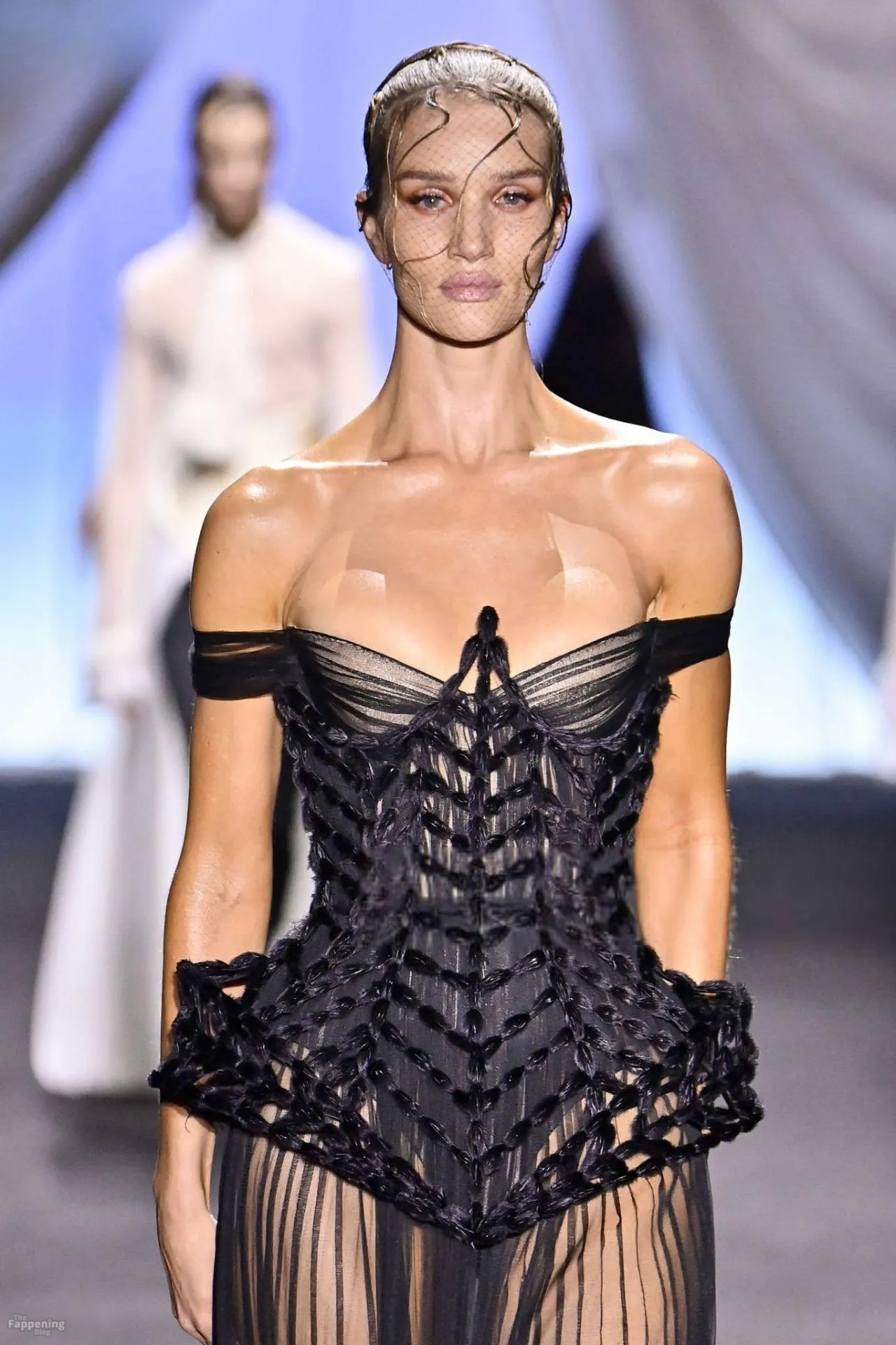 Rosie Huntington-Whiteley Hot Collection (24 Photos)