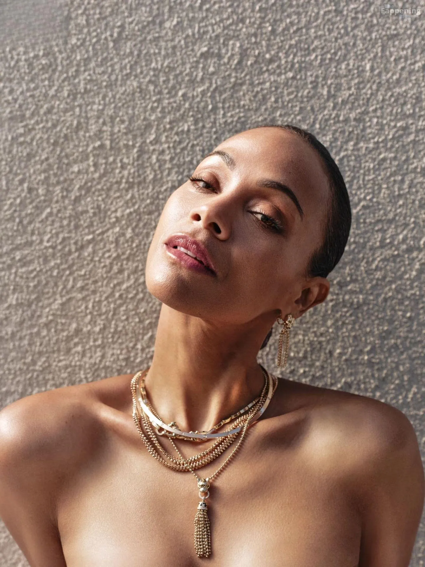 Zoe Saldana Sexy & Topless Collection (16 Photos)