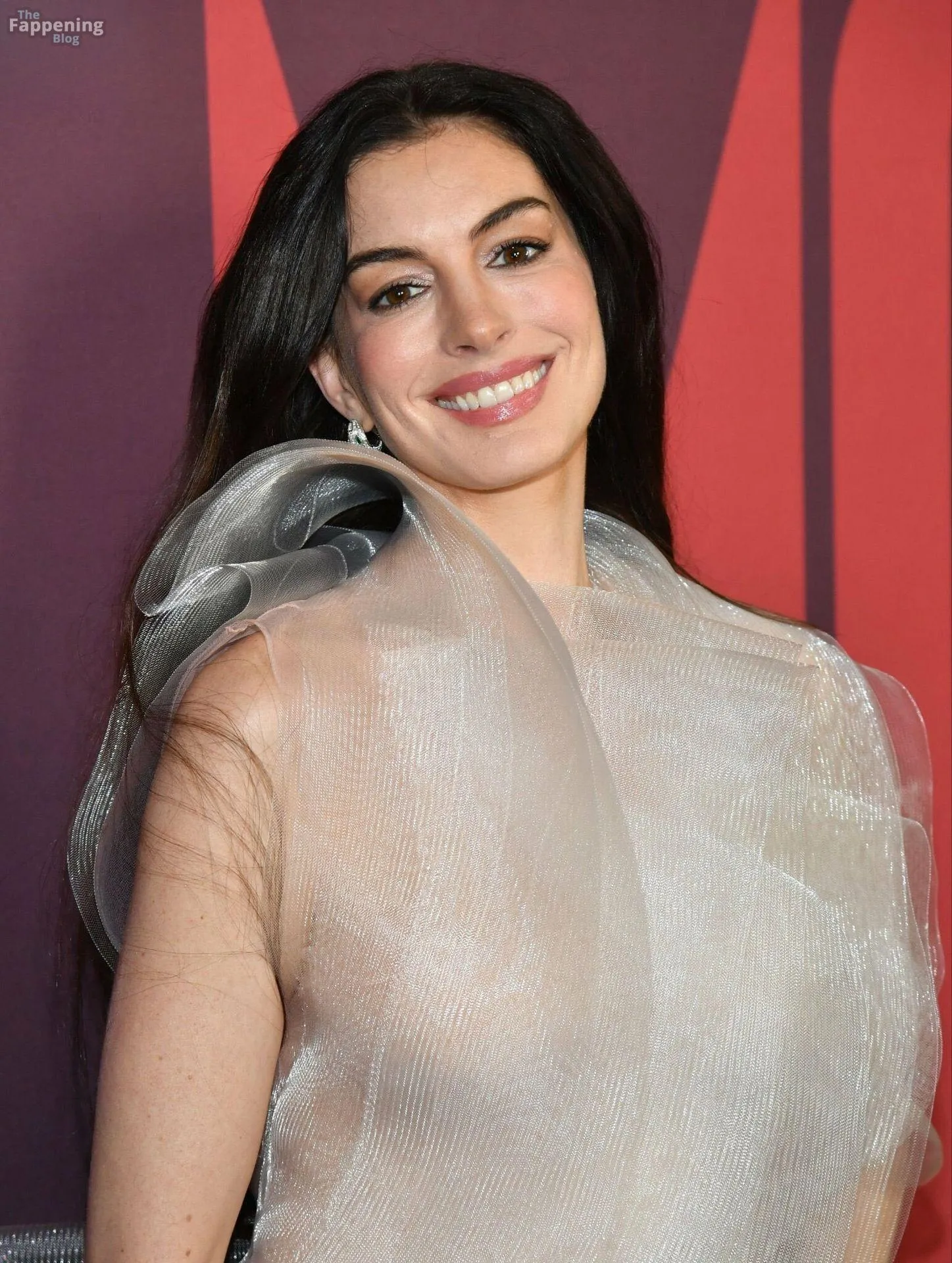 Anne Hathaway Sexy Collection (37 Photos)