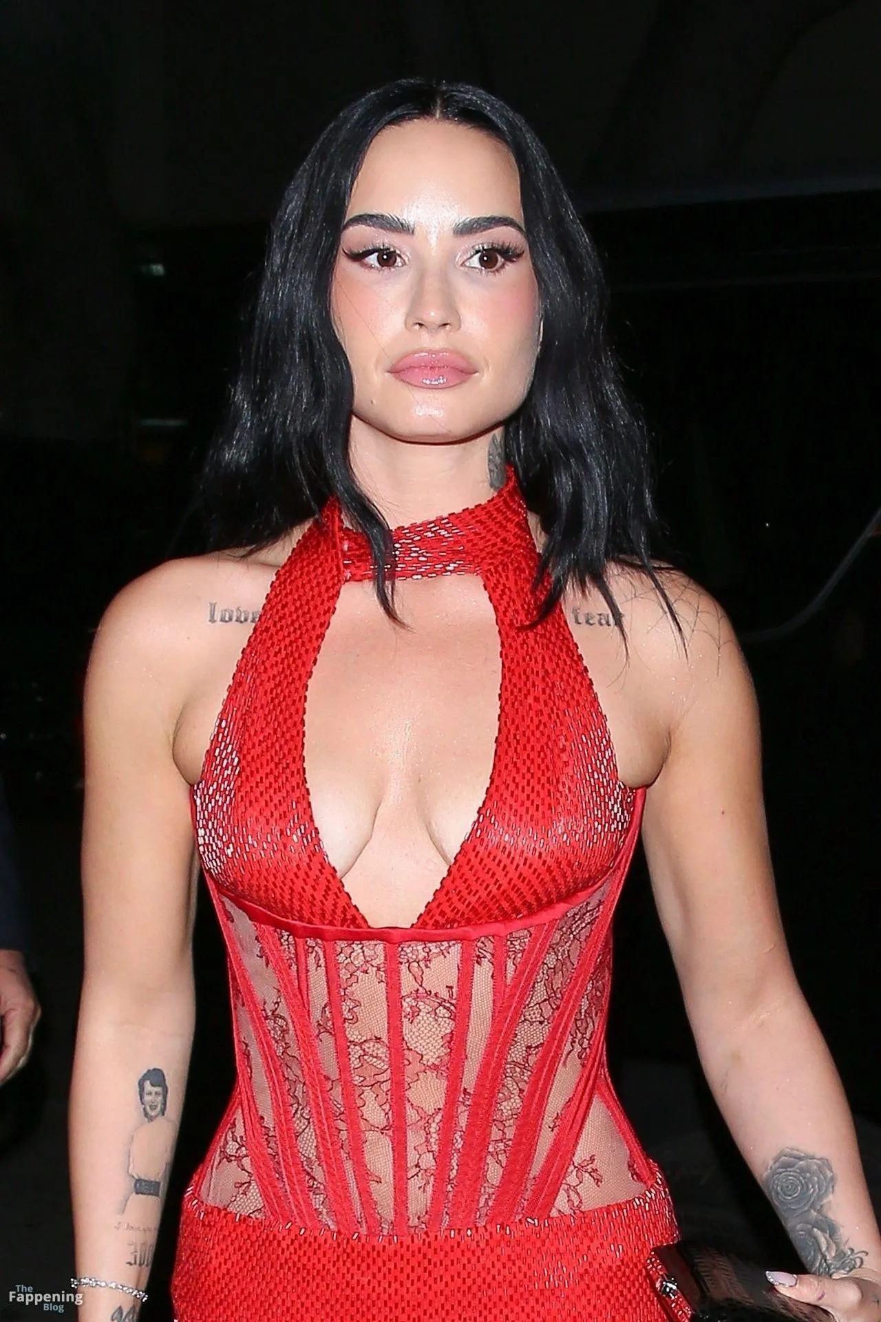 Demi Lovato Sexy Collection (19 Photos)