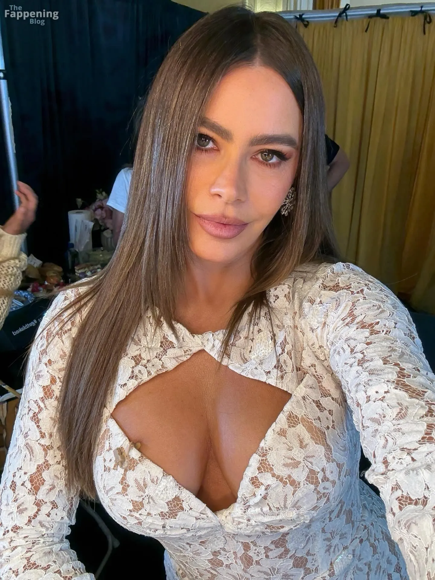 Sofia Vergara Sexy & Topless Collection (50 Photos)